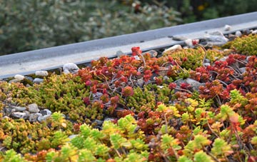 the cost of Llanwnnen green roof installation
