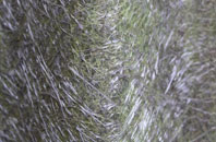 Llanwnnen fibreglass roof work